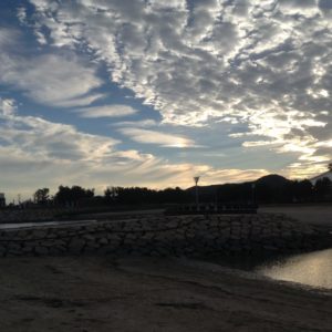 ゆめ花博 きらら浜
