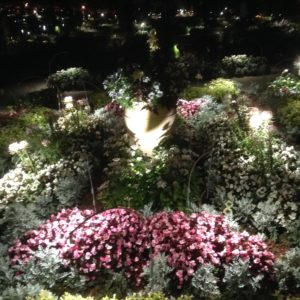 ゆめ花博 夜の花々